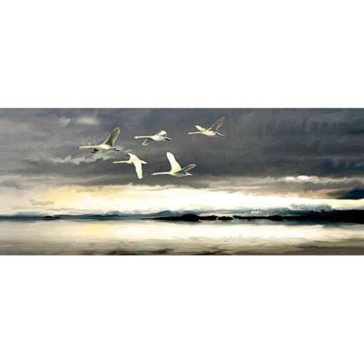 Swans over Thingvellir Art print on canvas